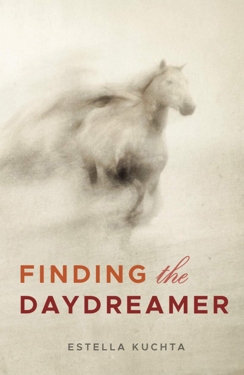 Finding the Daydreamer book cover image
